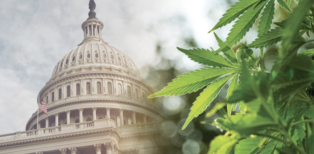 The Most Notable Federal Marijuana Actions of 2024